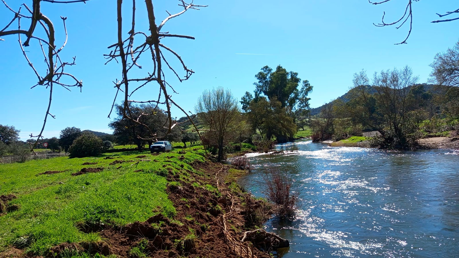 Restauracion fluvial: soluciones basadas en la naturaleza para recuperar el equilibrio de los rios
