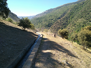 Asistencia técnica para la dirección de trabajos de prevención de incendios forestales en diferentes fincas propiedad de Endesa Andalucía