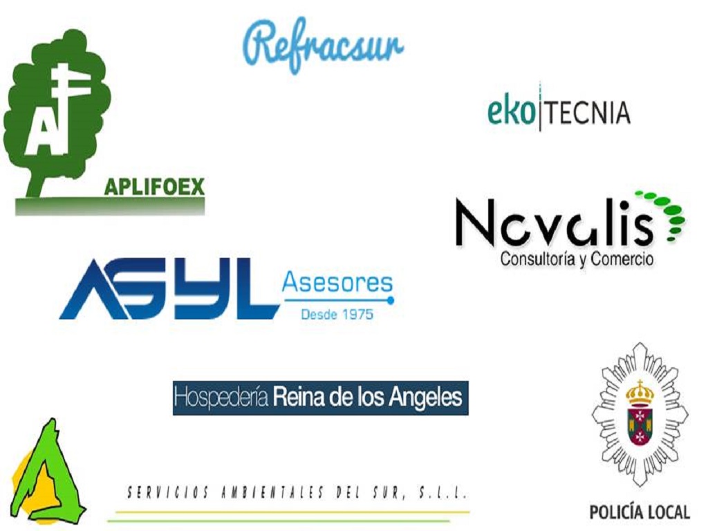 Consultoría en Sistemas de Gestión