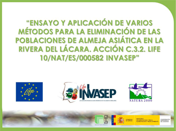 Ensayo y aplicación de varios métodos para la eliminación de las poblaciones de Almeja Asiática en la Rivera del Lácara