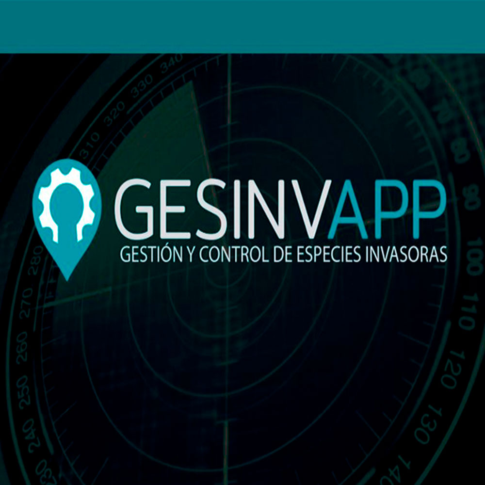 GESINVAPP de 