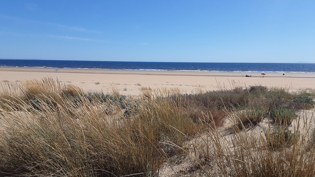 Proyecto de regeneración medioambiental del frente de playa urbana-senda dunar en Punta Umbría.