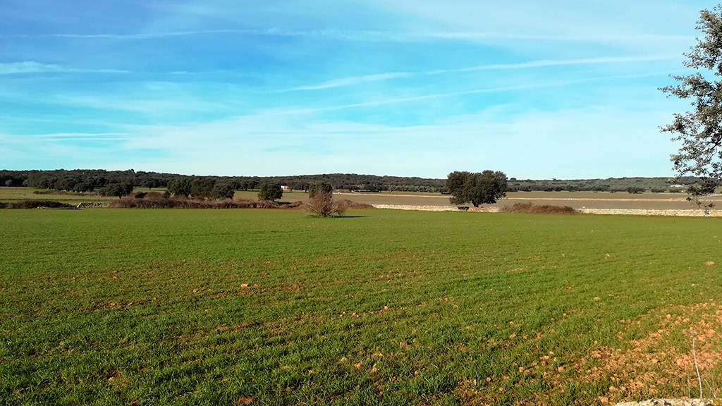 Tramitación ambiental de proyectos fotovoltaicos de Enel Green Power en Extremadura