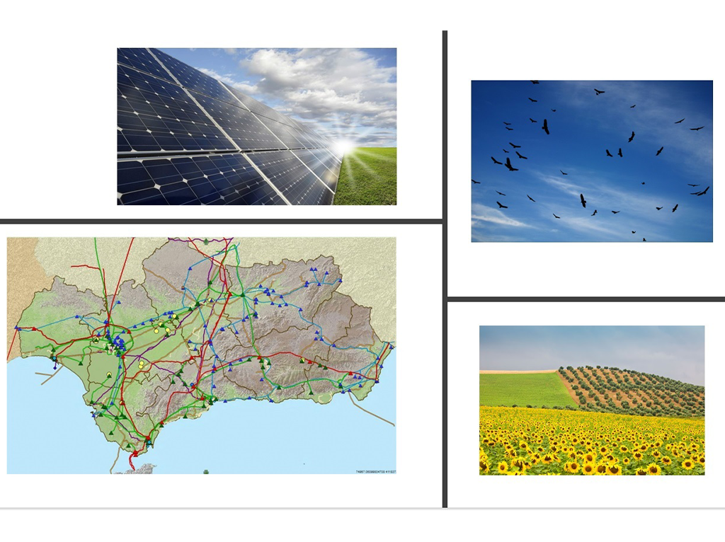 Tramitación ambiental de proyectos fotovoltaicos en Andalucía